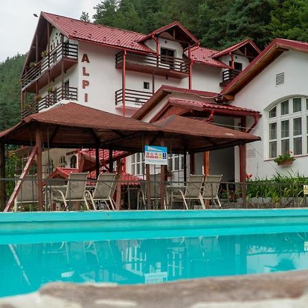 Pensiunea Alpin Păltiniş 外观 照片