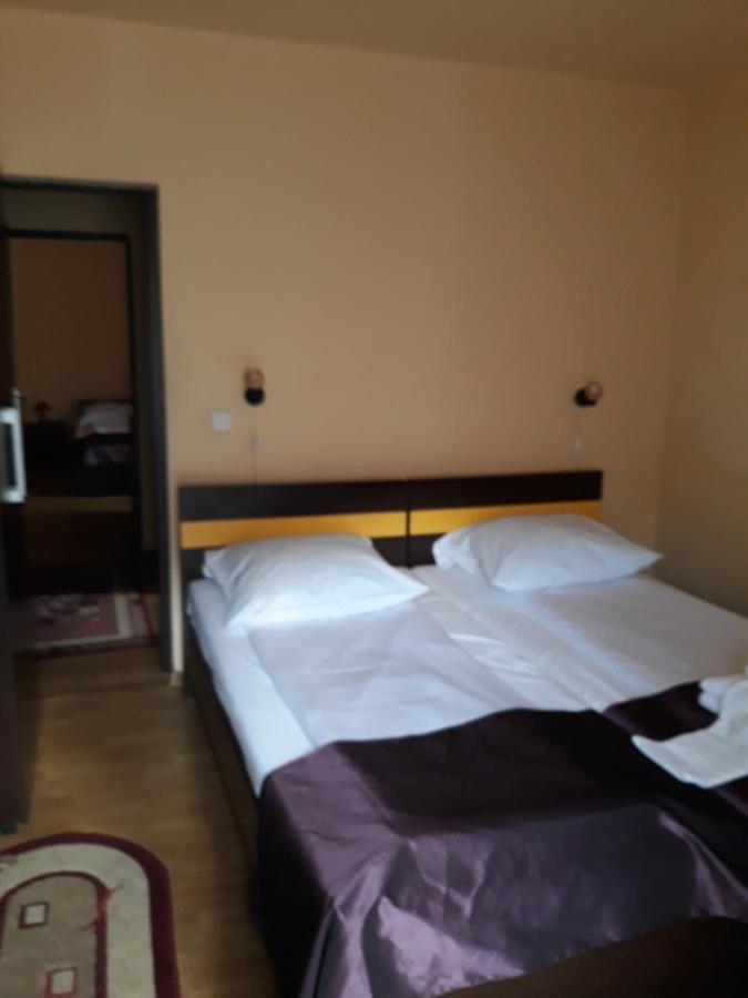 Pensiunea Alpin Păltiniş 外观 照片