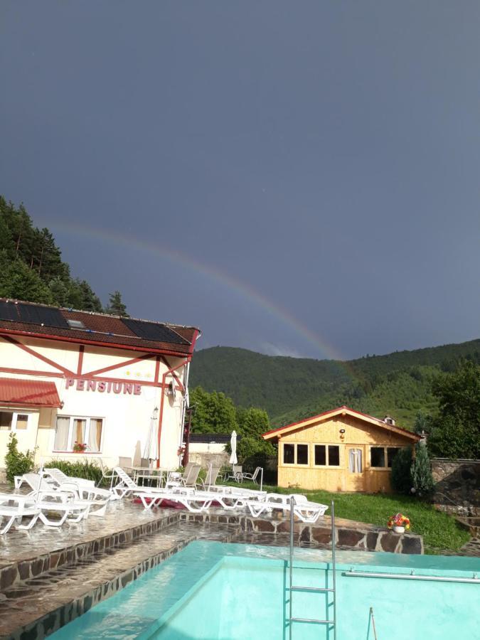 Pensiunea Alpin Păltiniş 外观 照片