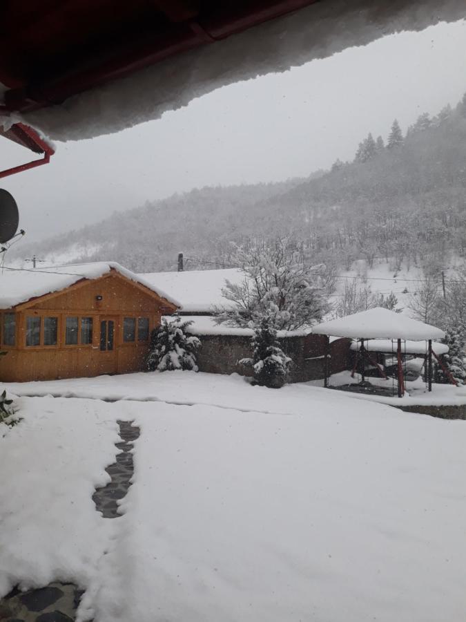 Pensiunea Alpin Păltiniş 外观 照片