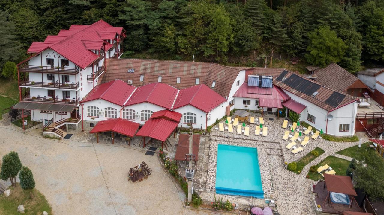 Pensiunea Alpin Păltiniş 外观 照片