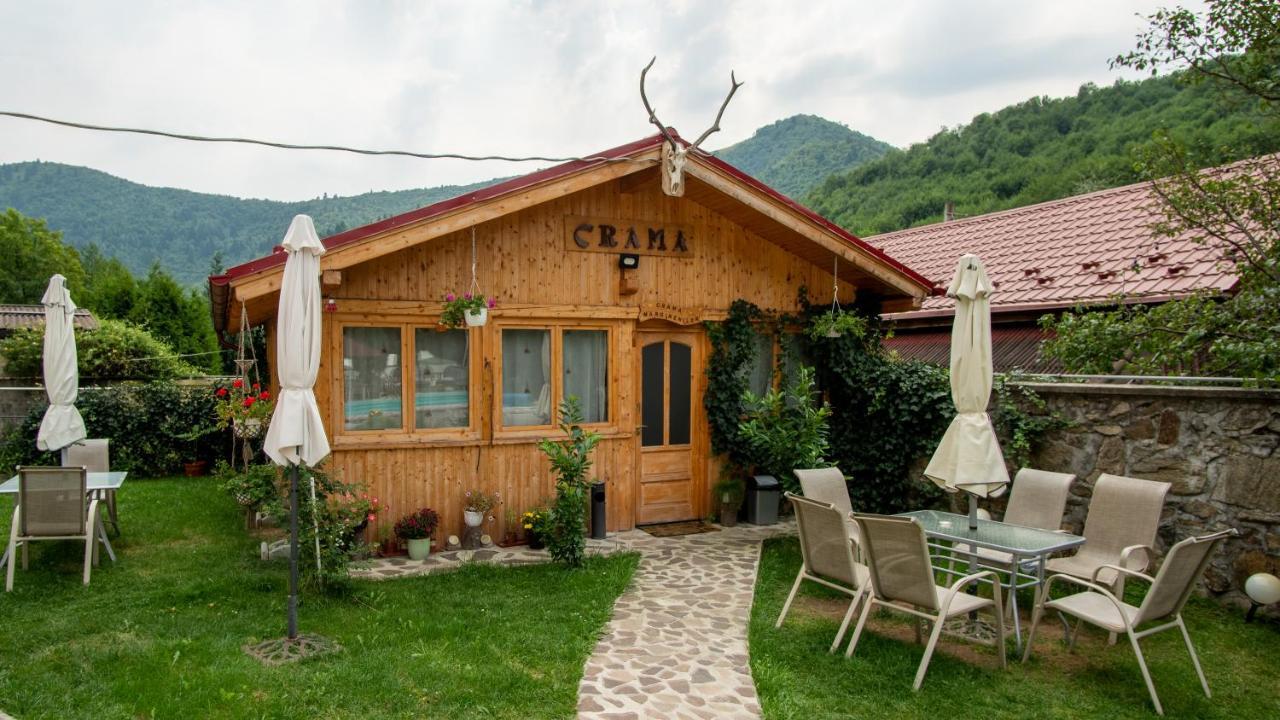 Pensiunea Alpin Păltiniş 外观 照片