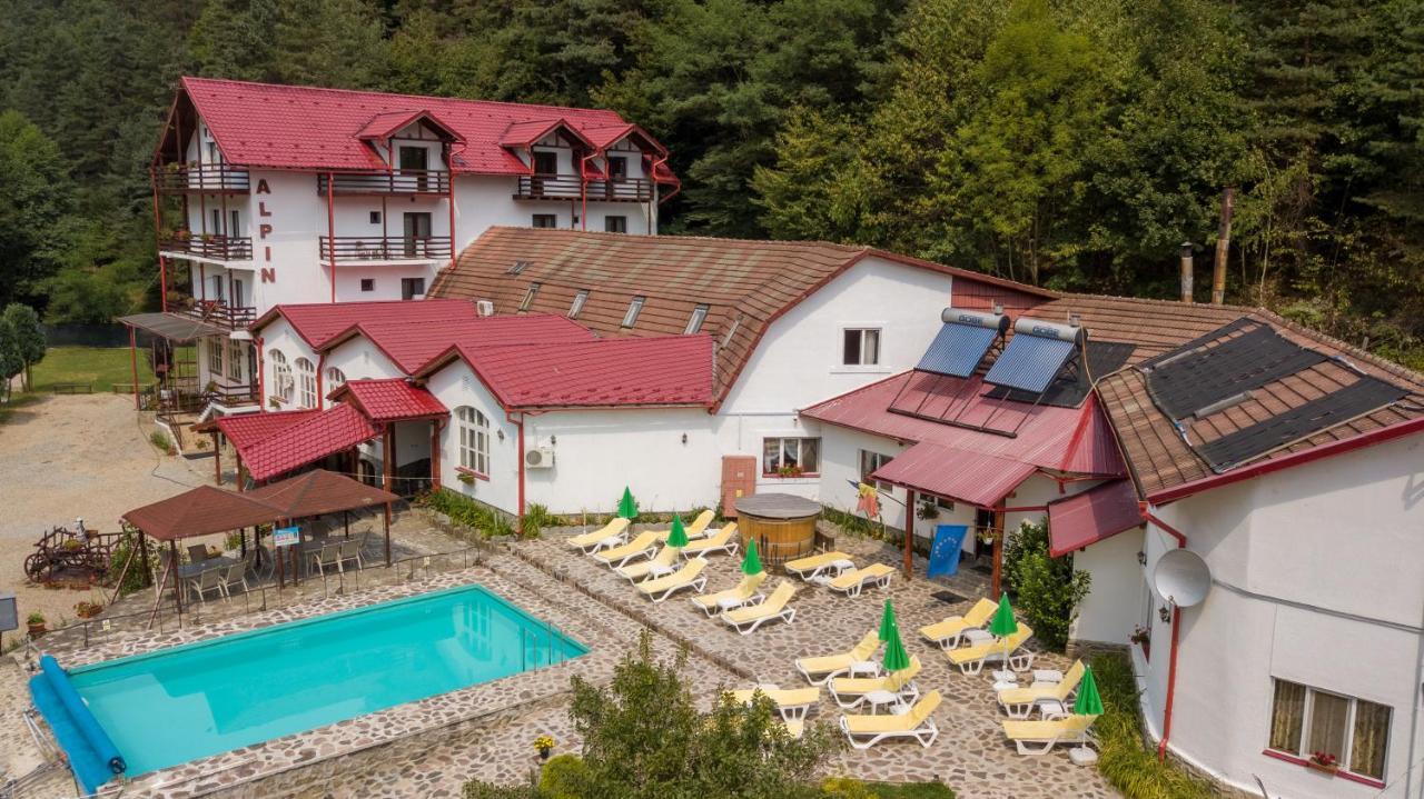 Pensiunea Alpin Păltiniş 外观 照片