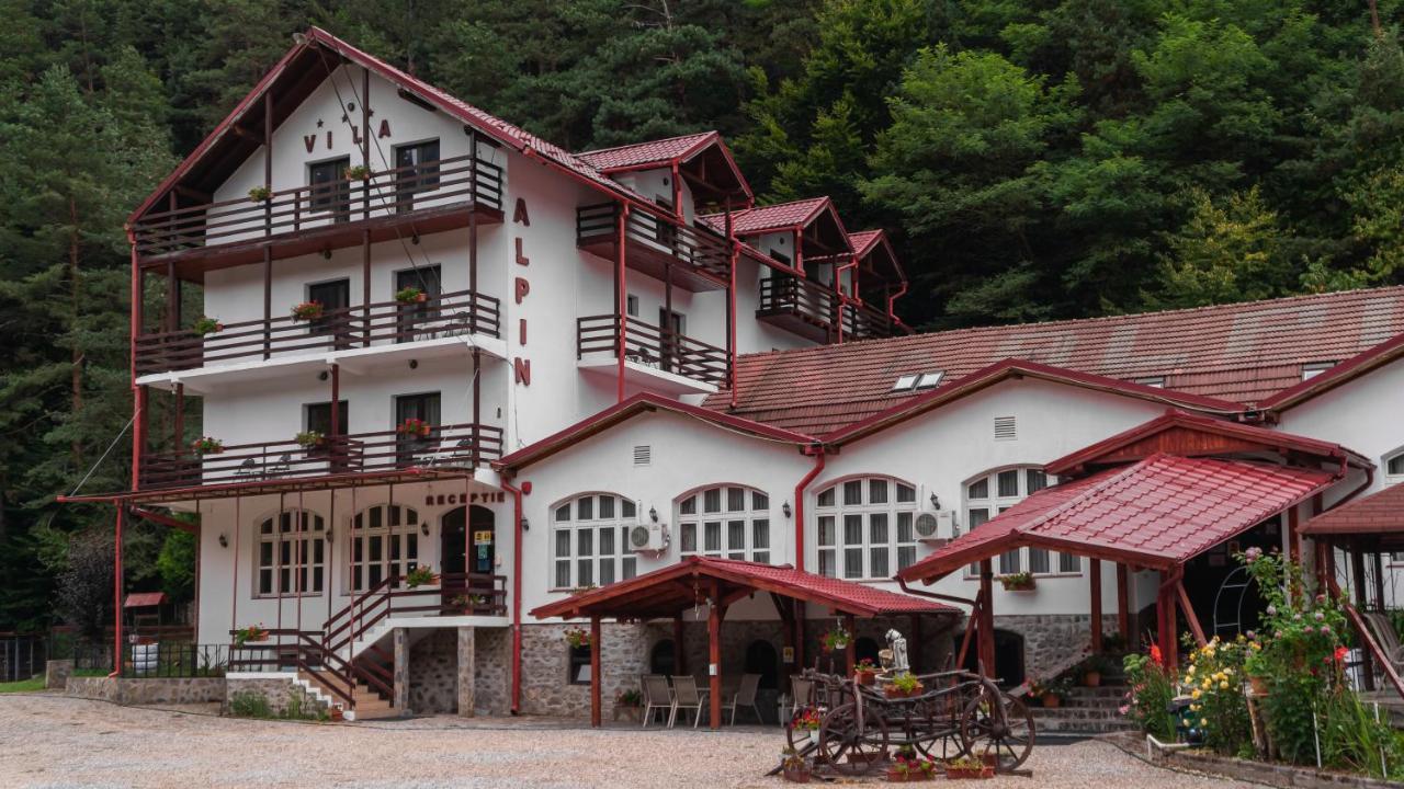 Pensiunea Alpin Păltiniş 外观 照片