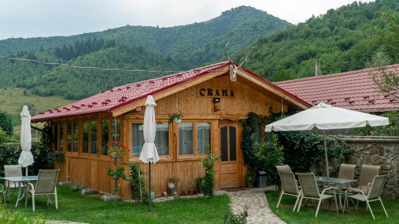 Pensiunea Alpin Păltiniş 外观 照片