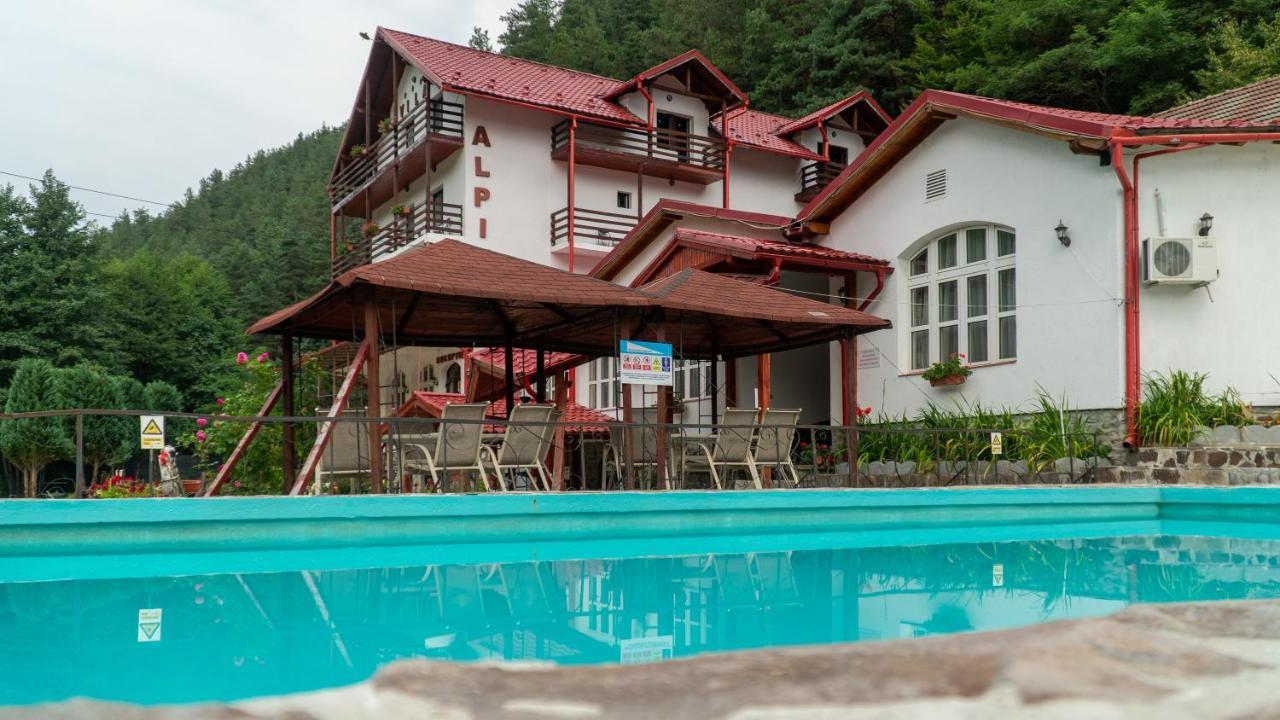 Pensiunea Alpin Păltiniş 外观 照片
