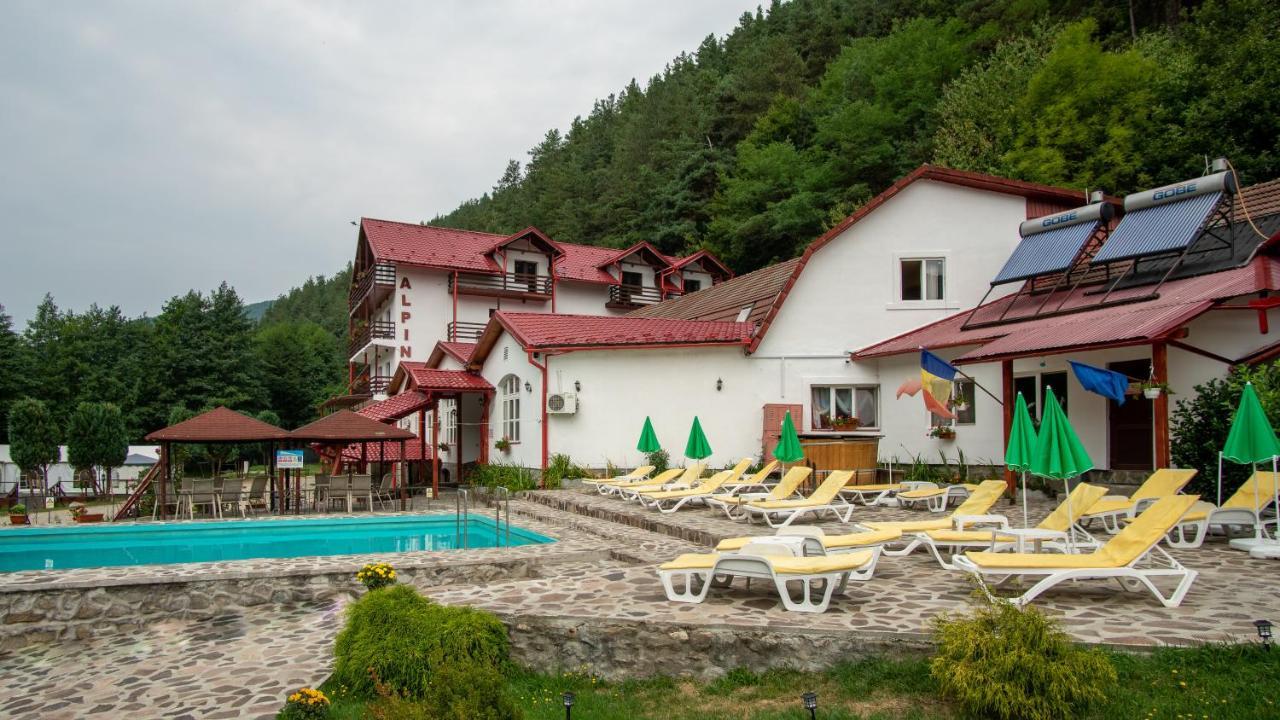 Pensiunea Alpin Păltiniş 外观 照片