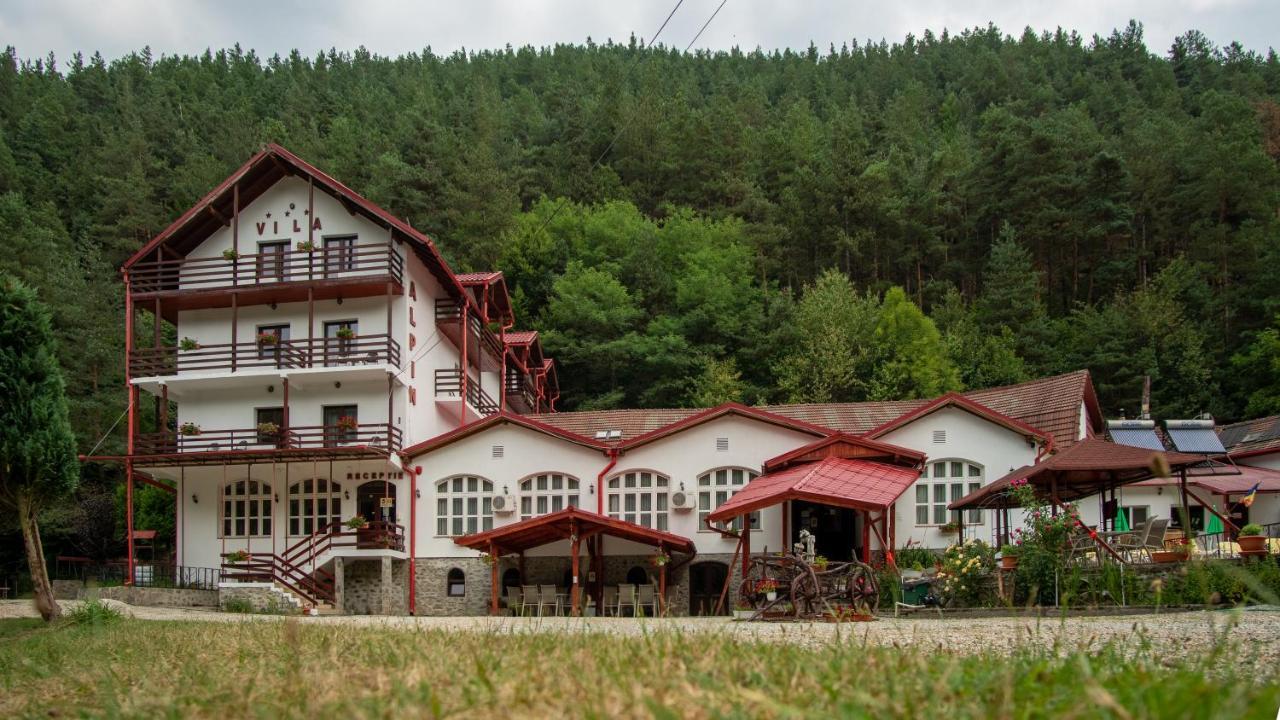 Pensiunea Alpin Păltiniş 外观 照片
