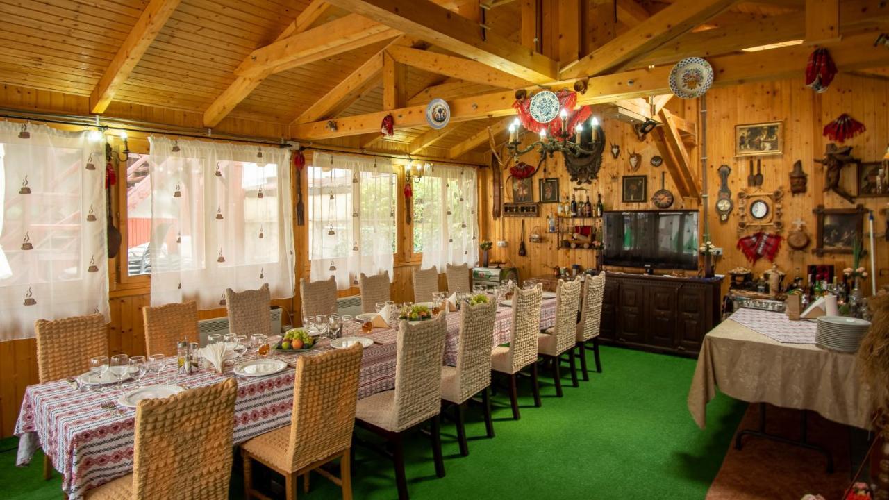 Pensiunea Alpin Păltiniş 外观 照片