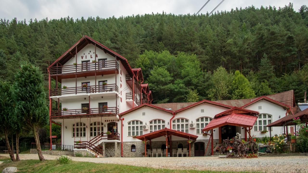 Pensiunea Alpin Păltiniş 外观 照片