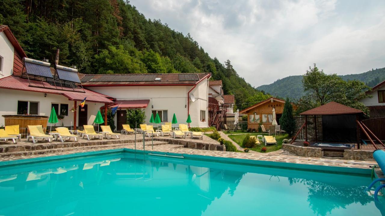 Pensiunea Alpin Păltiniş 外观 照片