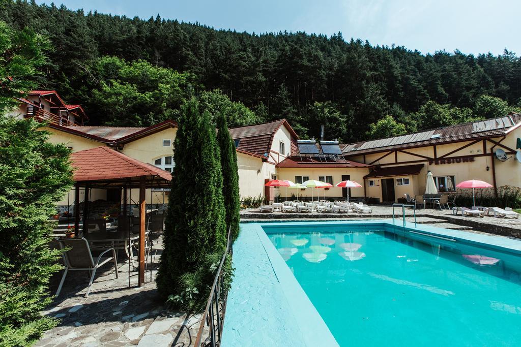 Pensiunea Alpin Păltiniş 外观 照片